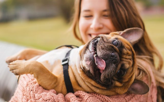 O que é ficar de cão?